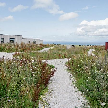 Rustic Cabins, Sea Views From Rewilded Farm With Highland Cows St Andrews Exteriör bild