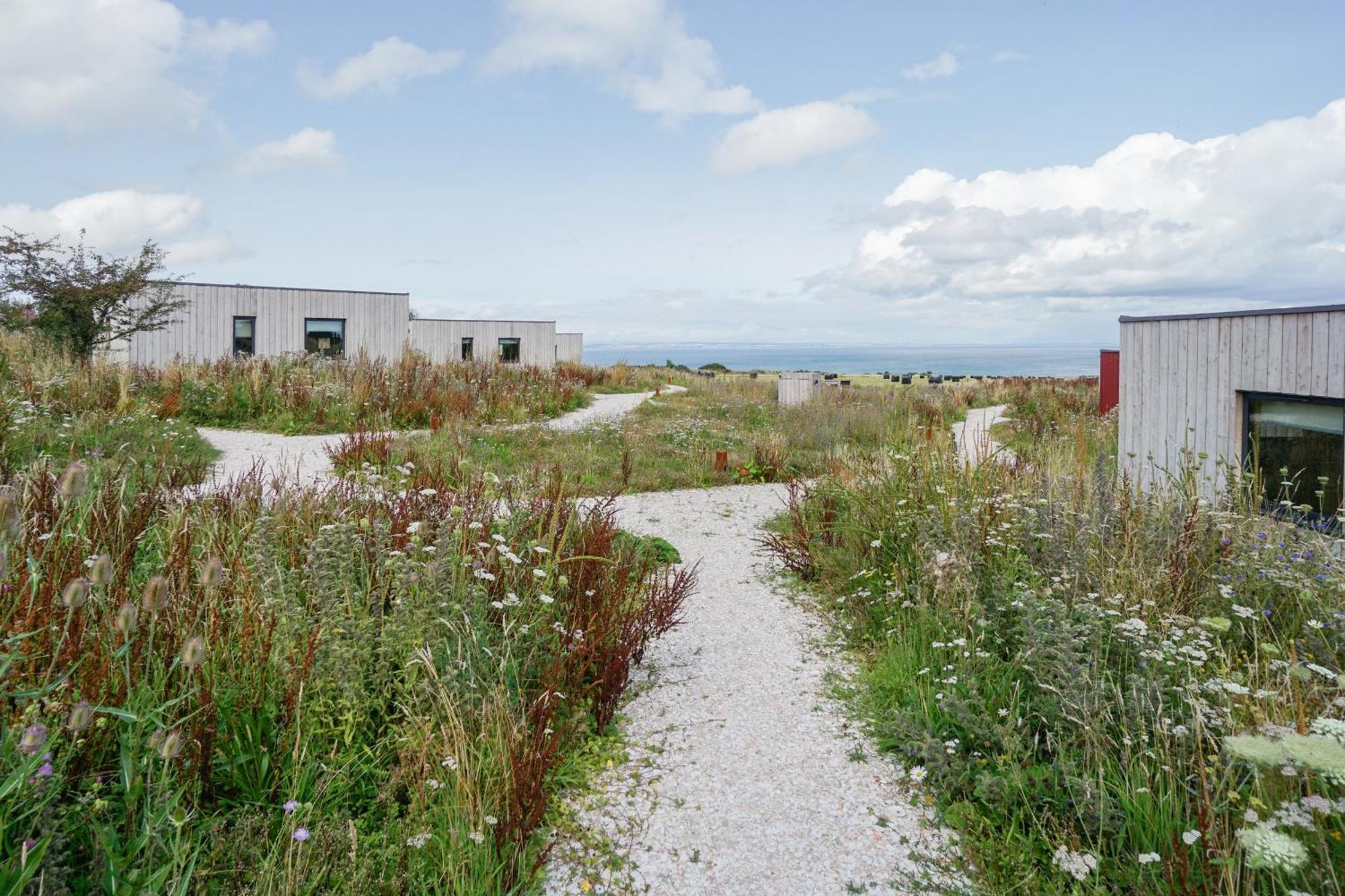 Rustic Cabins, Sea Views From Rewilded Farm With Highland Cows St Andrews Exteriör bild
